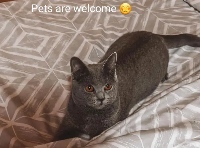 Hm * גוזד מרטולז'ק